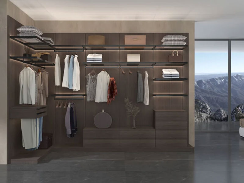 Stainless Steel Wardrobe vs Wooden Wardrobe: The Better Choice for Custom Home Furnishings