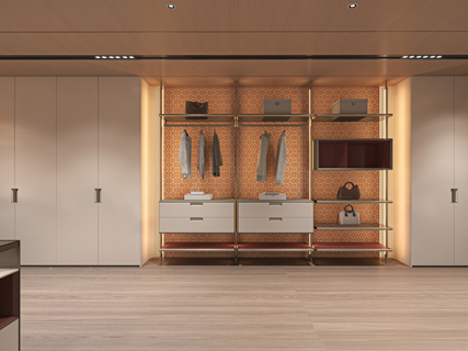 Modern Built-In Stainless Steel Wardrobes